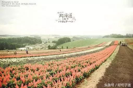 发自己照片配的说说伤感（悲痛成河的心情说说）-流云流梦