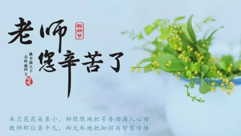 赞美老师的诗歌朗诵(教师节诗朗诵)