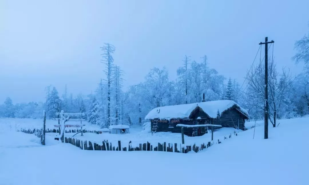写雪的古诗名句(与雪有关的古诗)-流云流梦