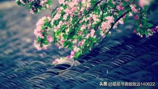 带颜色的诗句飞花令（描写颜色的古诗句）-流云流梦