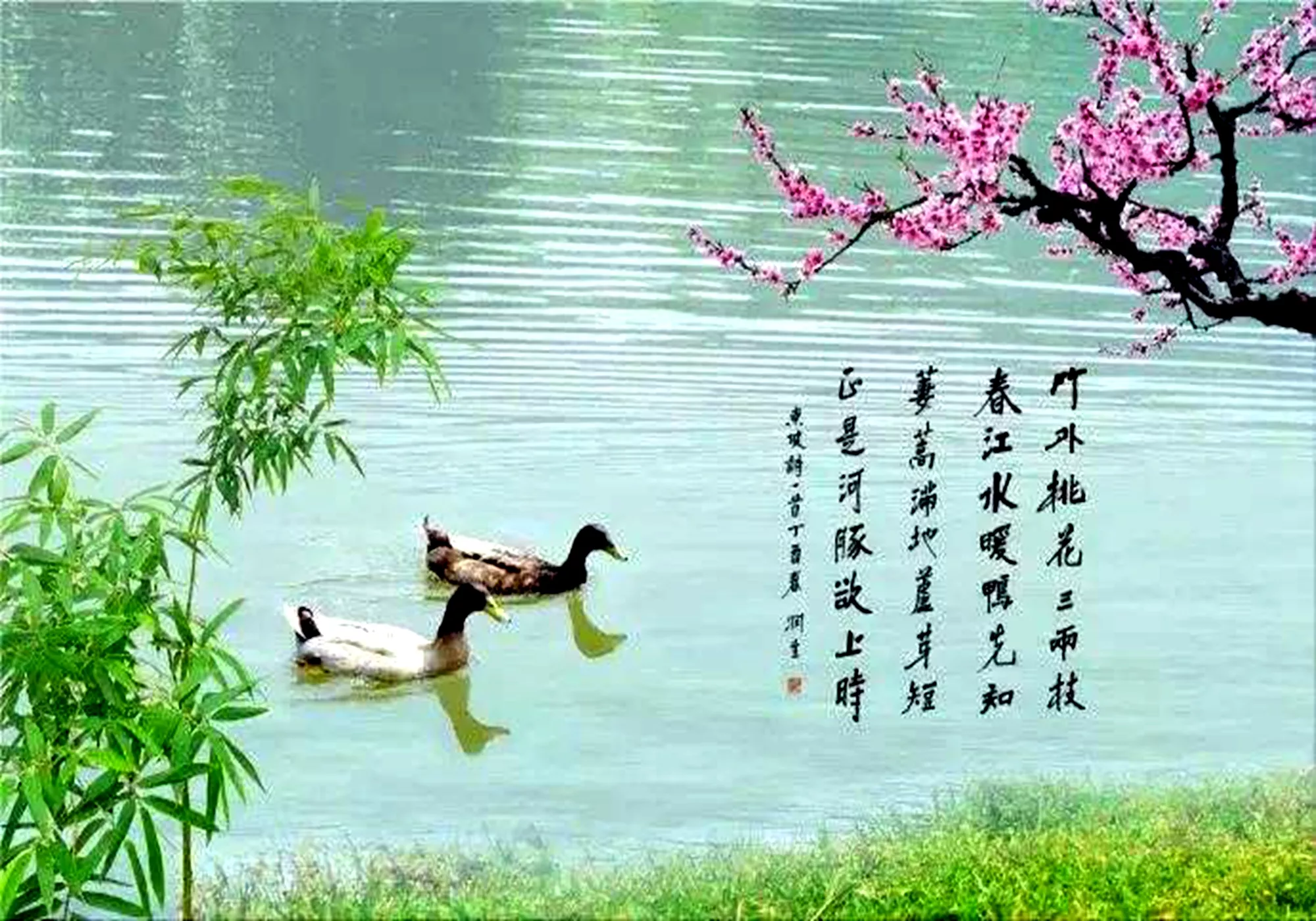 惠崇春江晚景古诗意思解释(诗文内容及译文解读)