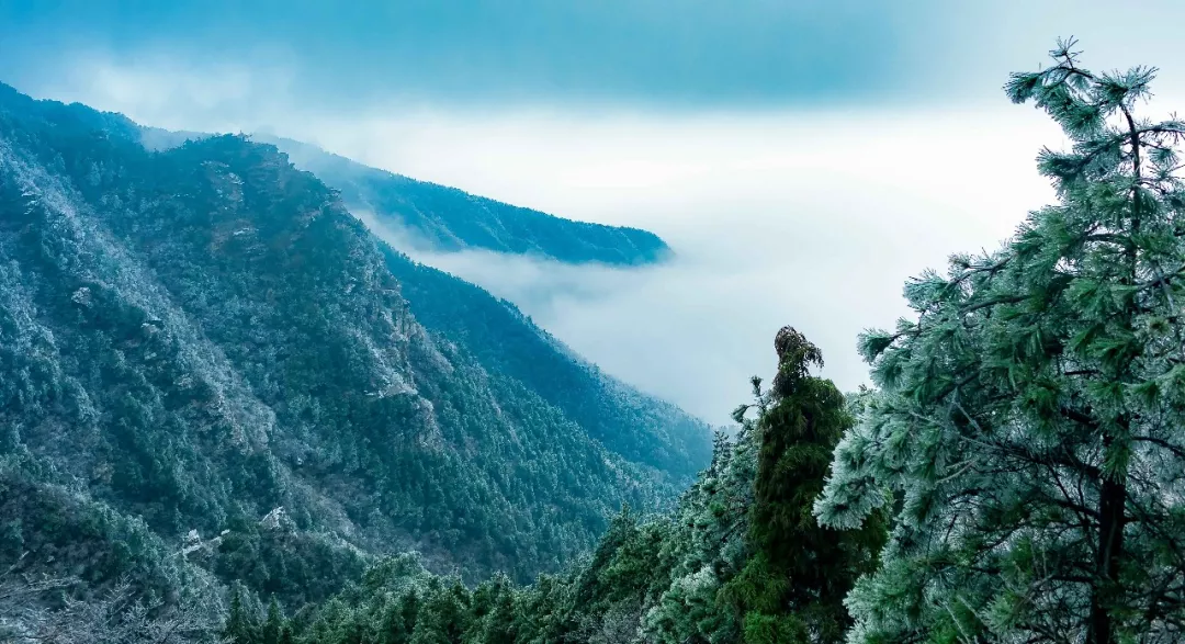 发朋友圈旅游唯美诗句大全(旅游的经典语录)