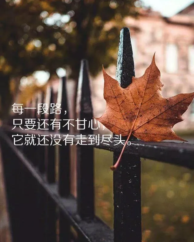 描写雨天的优美句子(描写雨季的名句)