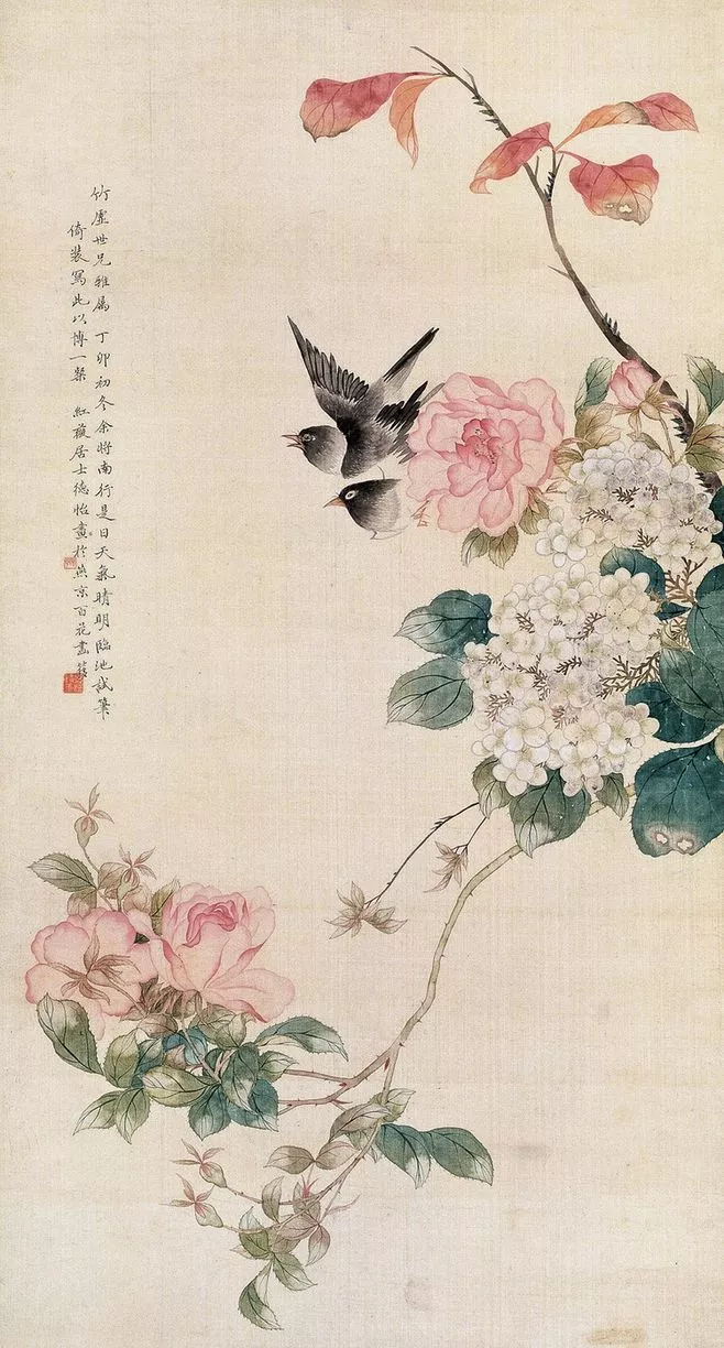 描写鸟的优美句子有哪些（写鸟的优美句子简短）-流云流梦