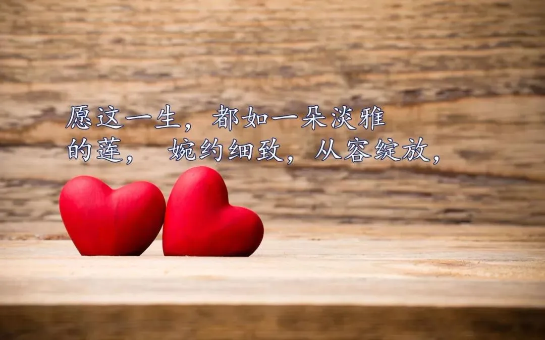 描写雨天的优美句子(描写雨季的名句)